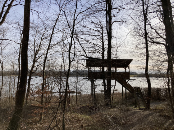Structure en bois - Observatoire