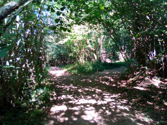 Sous les sentiers "tunnels"