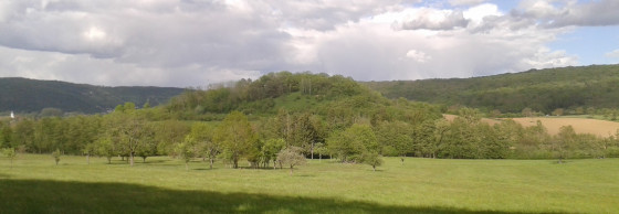 Wurmberg