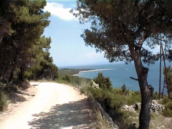 Zlatni Rat