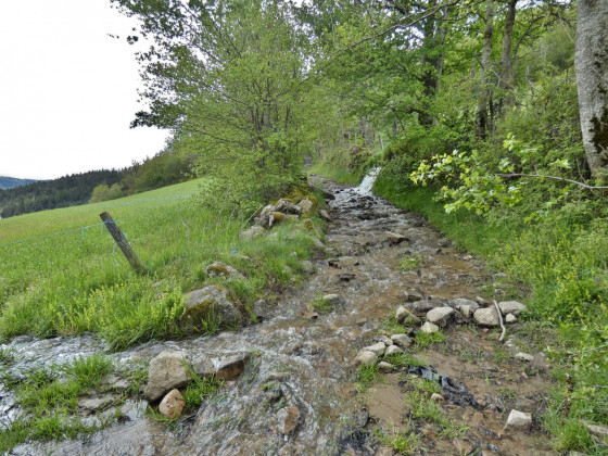 zone boueuse
