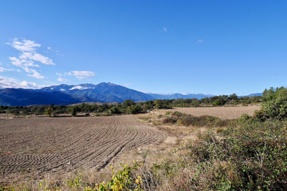 Zone cultivée