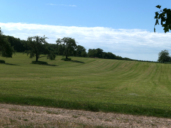 Zone de parachutage