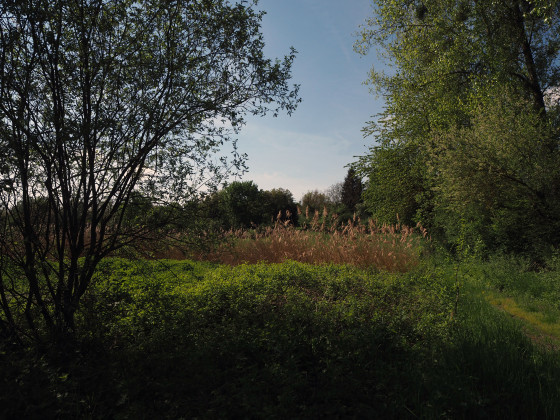 zone humide et marais