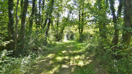 zone humide hors parcours