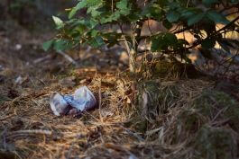 Déchets Déchets