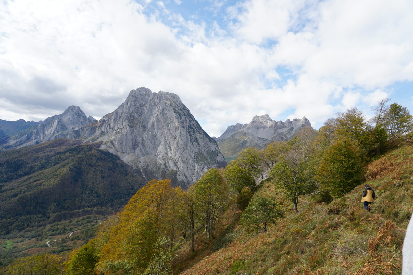 Paysage