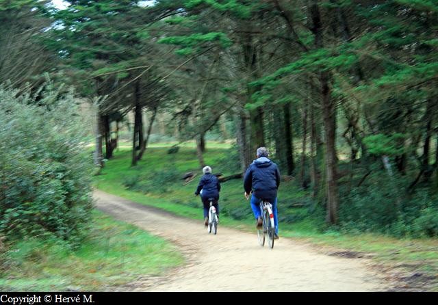 Club en velo Club en velo