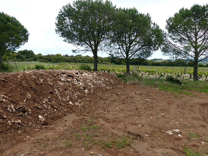 photo butte de terre pouss 233 e par les vignerons photo butte de terre pouss 233 e par les vignerons