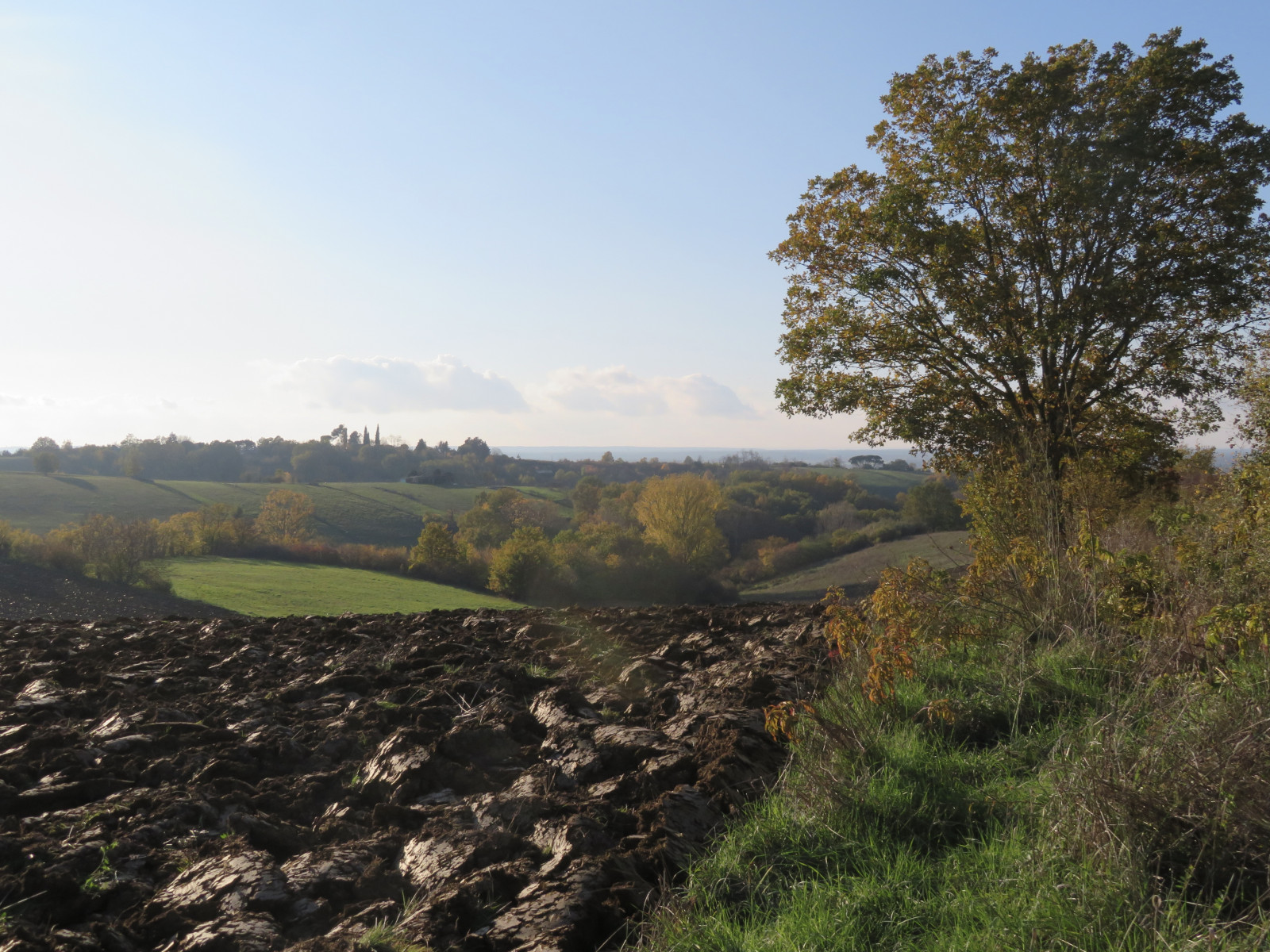 Rando célibataires — De vallons en coteaux depuis Bondigoux