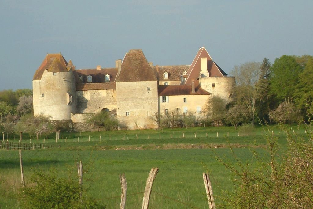 Photo Château de la Motte Josserand