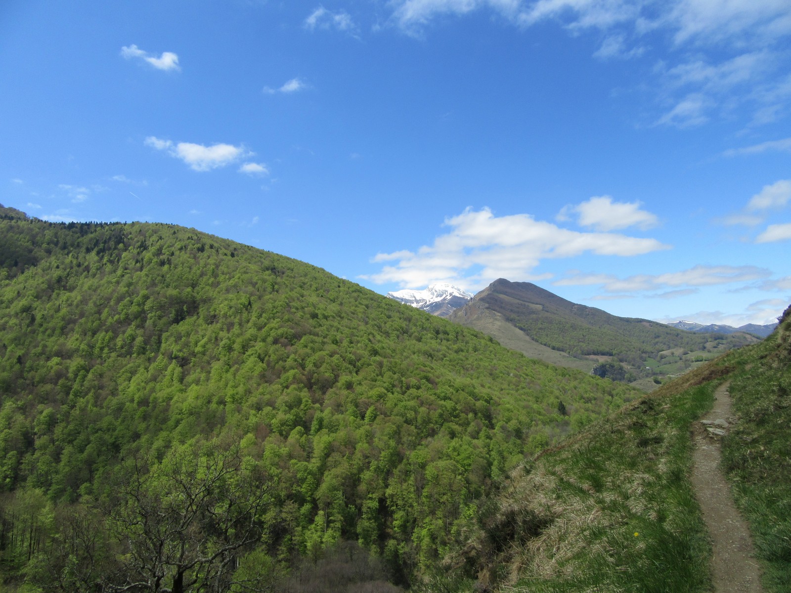 Photo chemin à flanc de colline