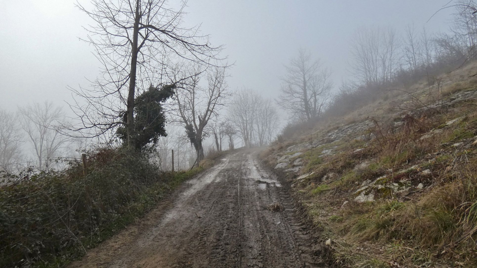 Rando célibataires — Flânerie entre Farnay et Vergelas