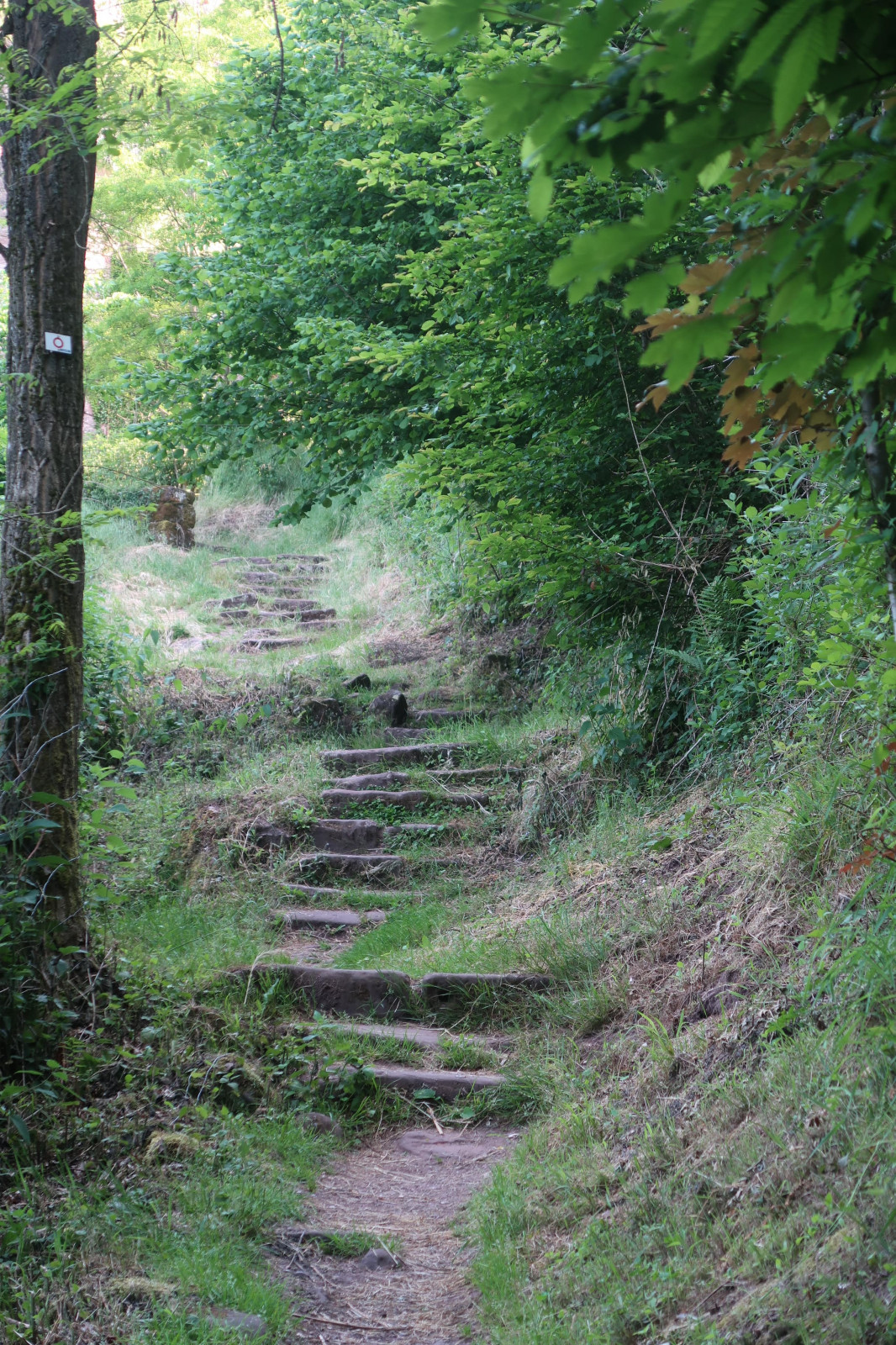 Rando célibataires — Le tour de Lutzelbourg par Roche Plate