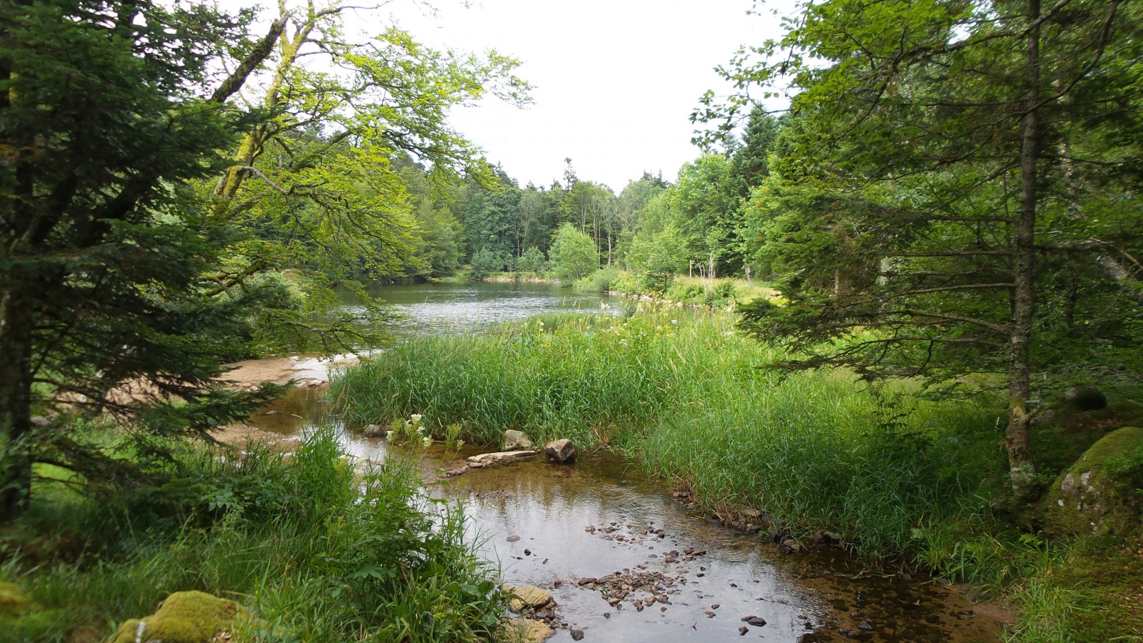 Photo Etang du Petit Haut