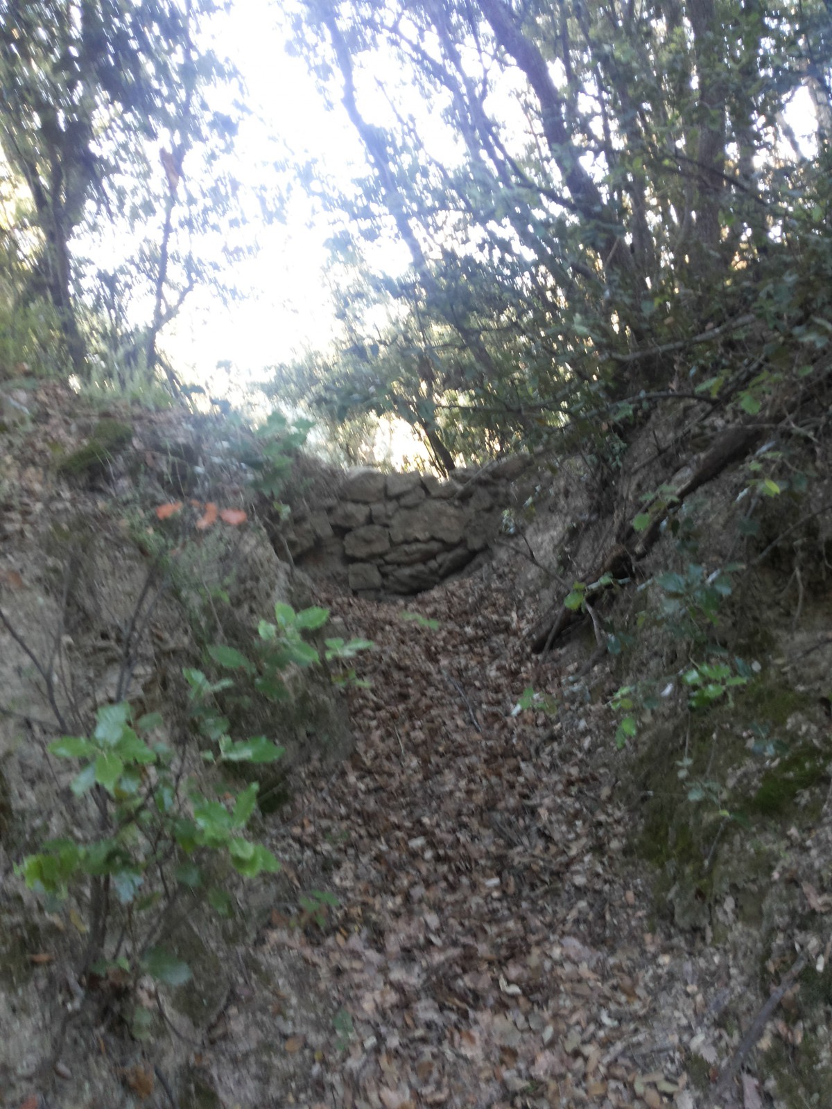 8- Extrémité du canal de Jando