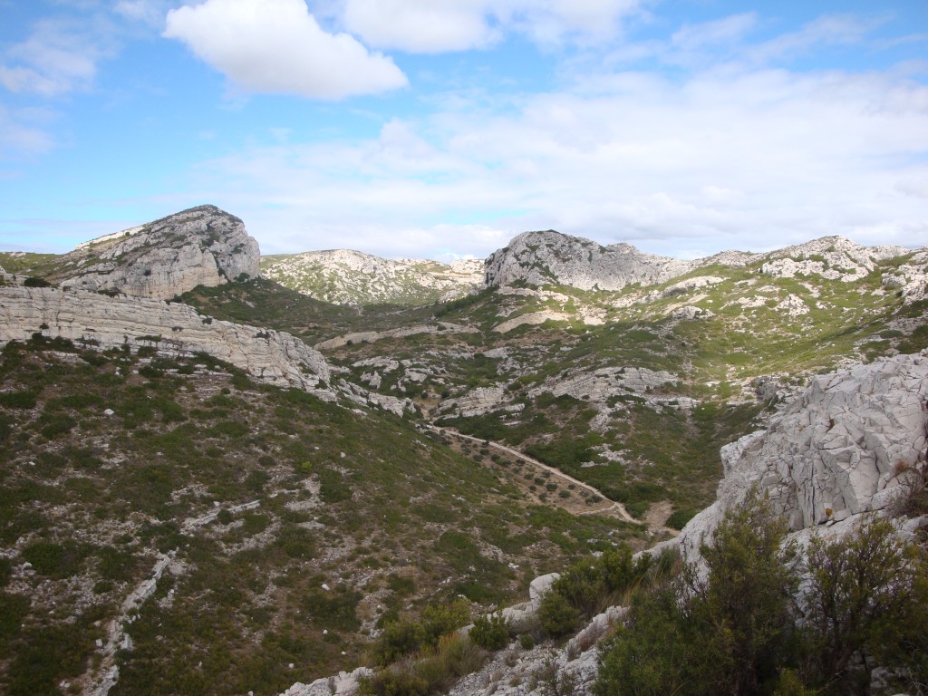 Photo Garrigue