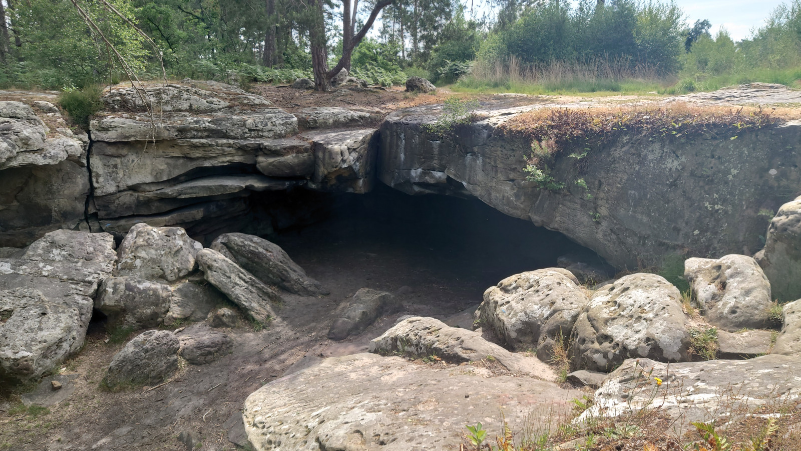 A great tour of the east of Fontainebleau Forest. - Walk