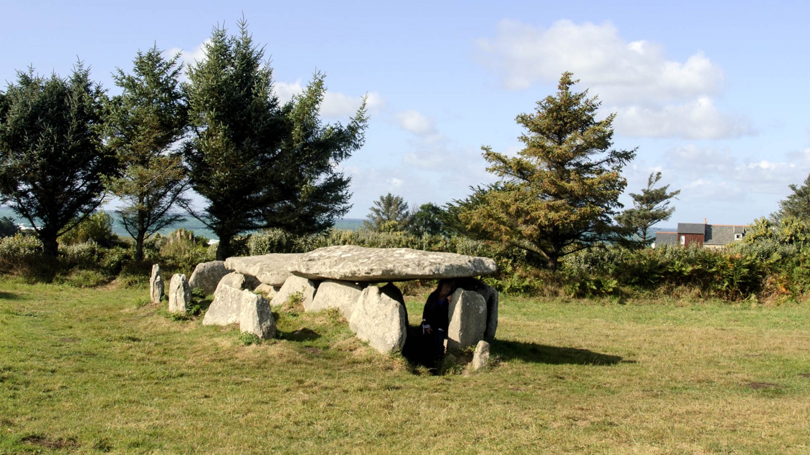 Photo L'allée couverte