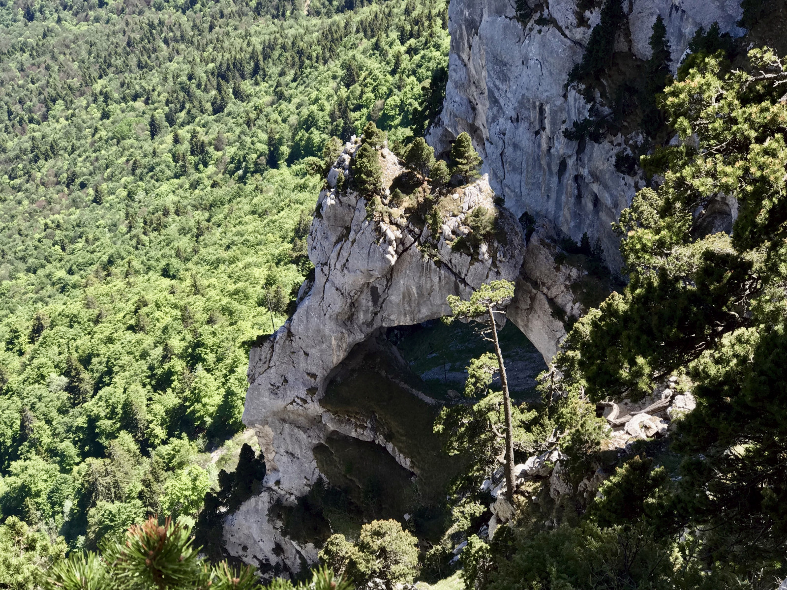 L'Arche Miracle