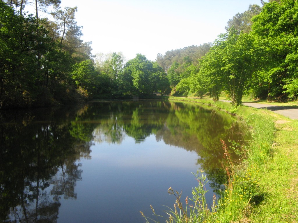 Photo l'étang de la Ville Caro