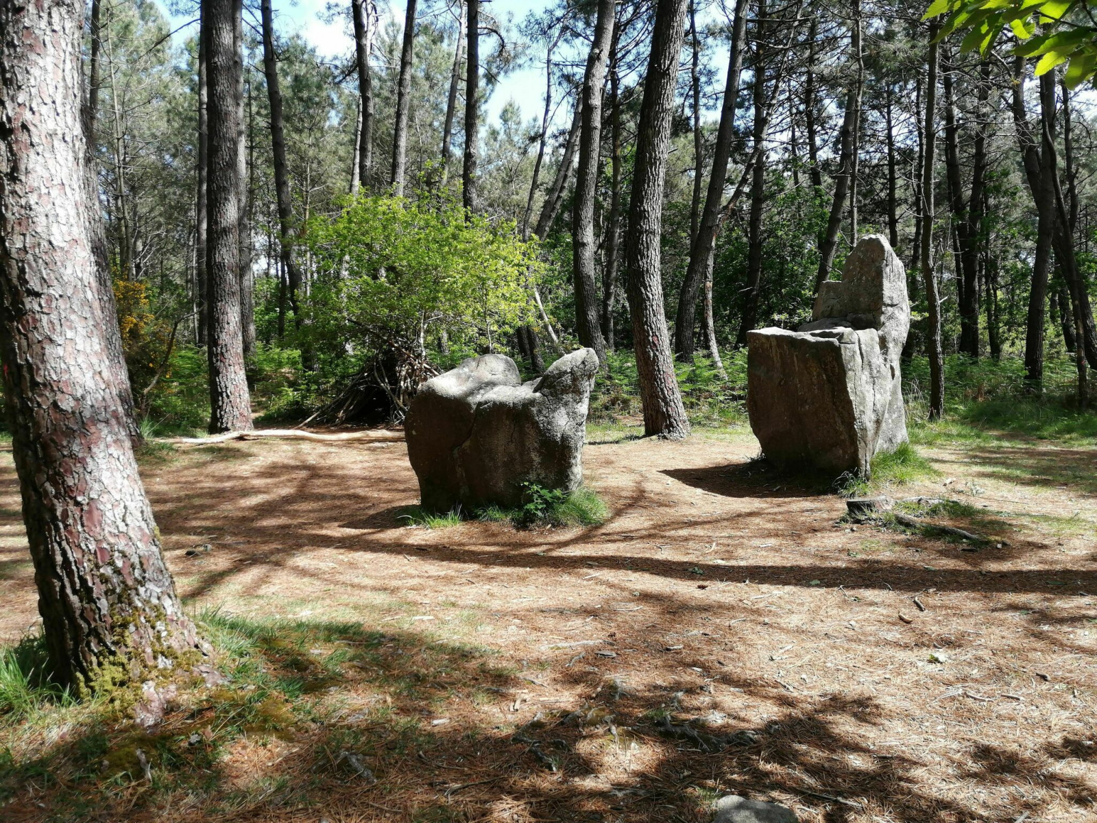 Rando célibataires — Les alignements de Kerherzo et les mégalithes Erdeven