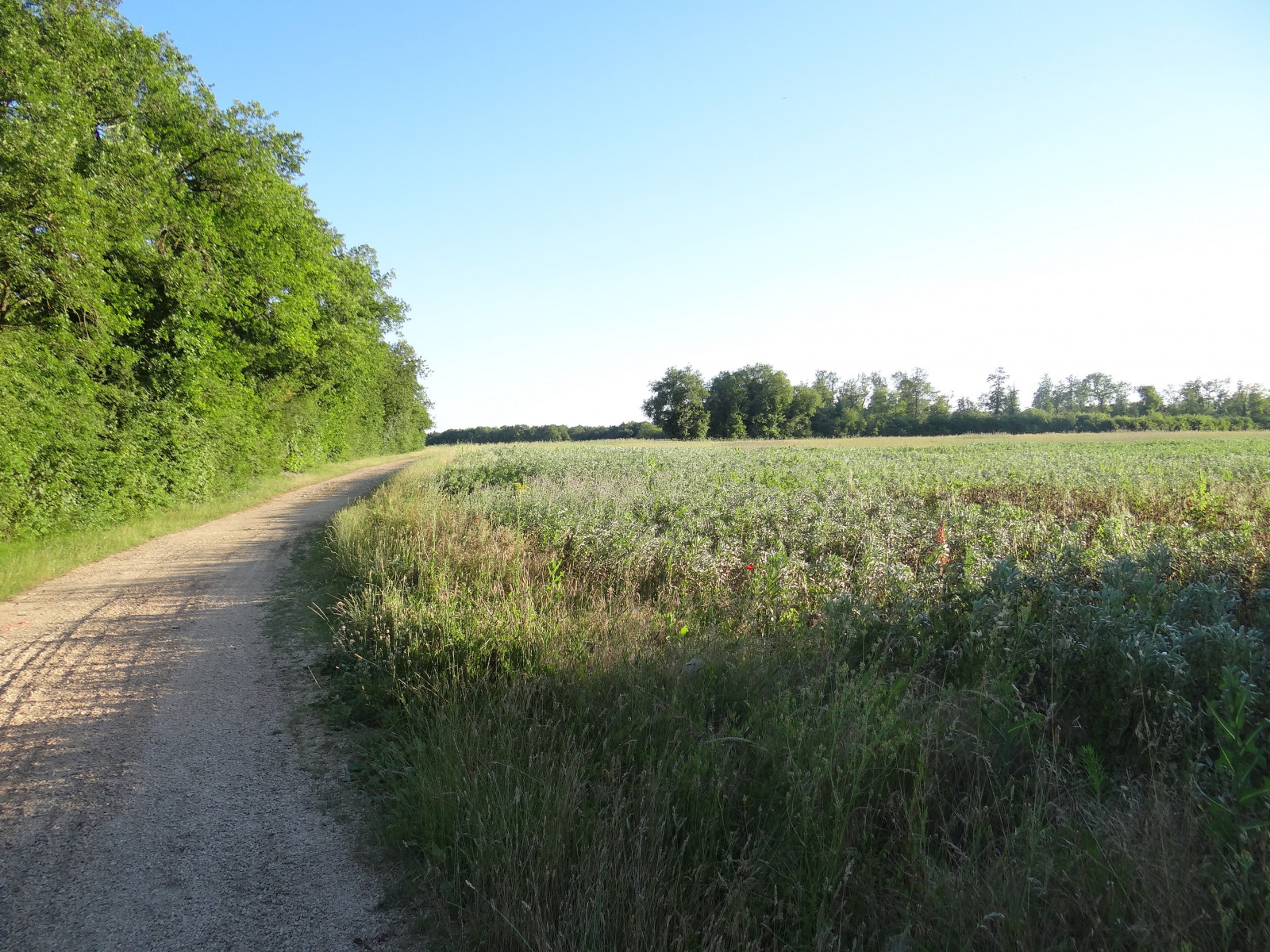 Campagne du Cher