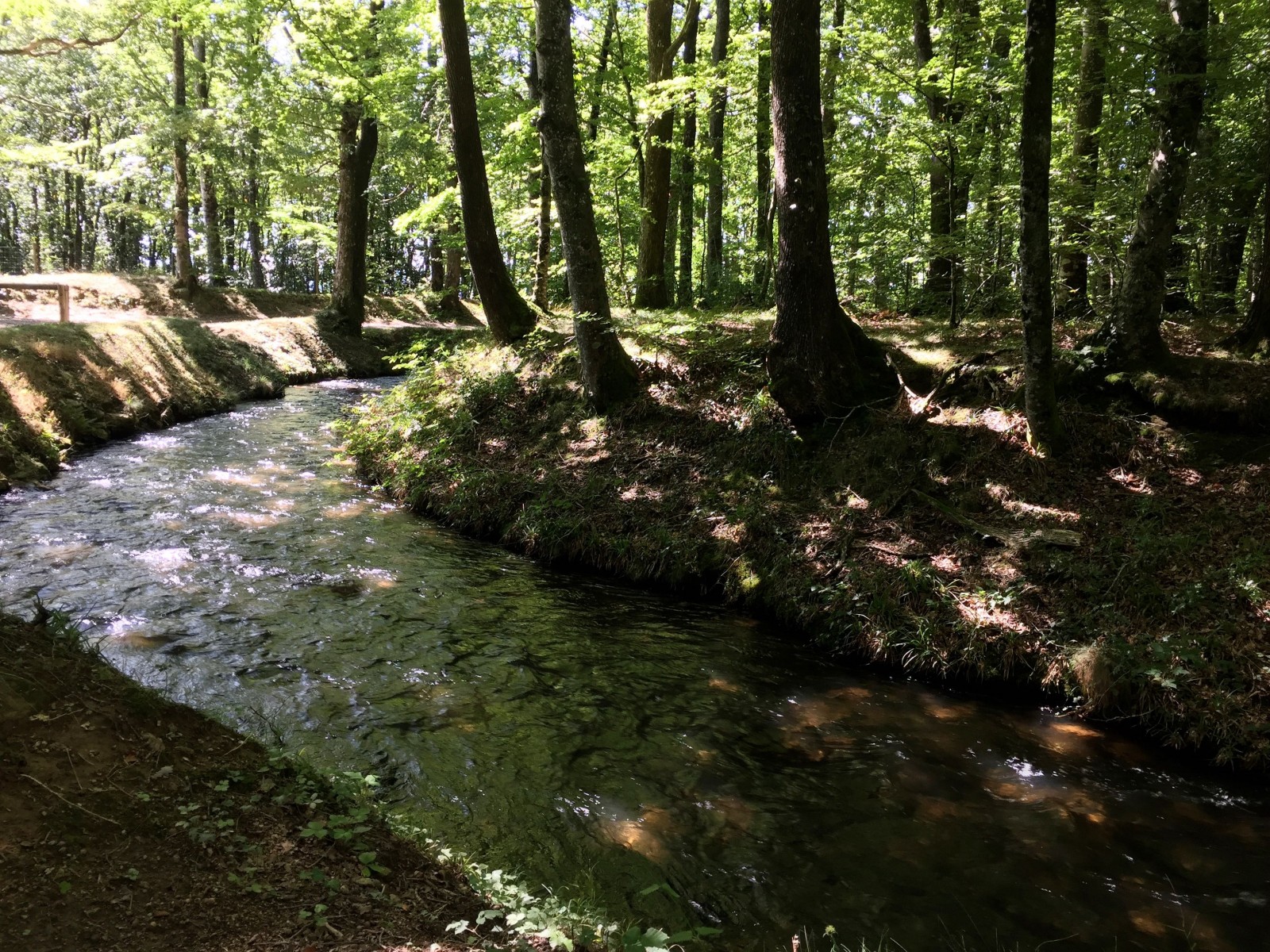 montagne-noire-aude