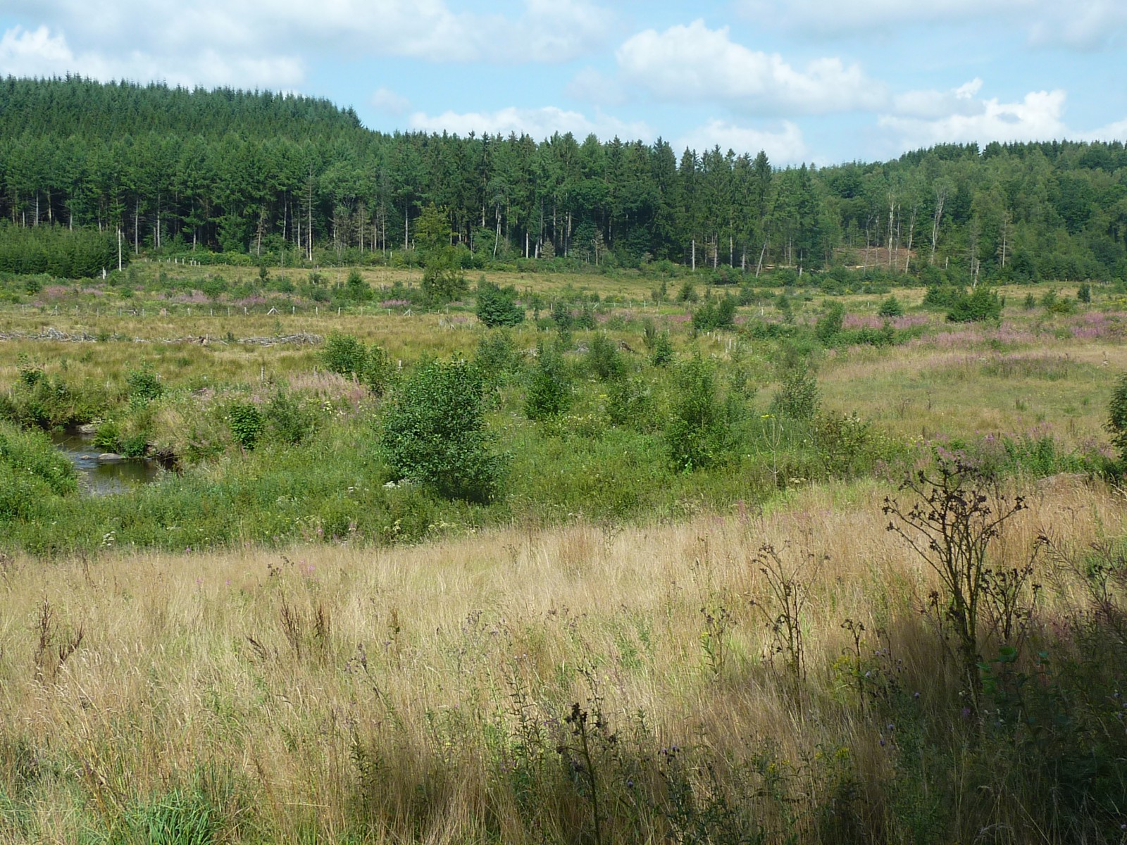 Photo La vallée de la Houille