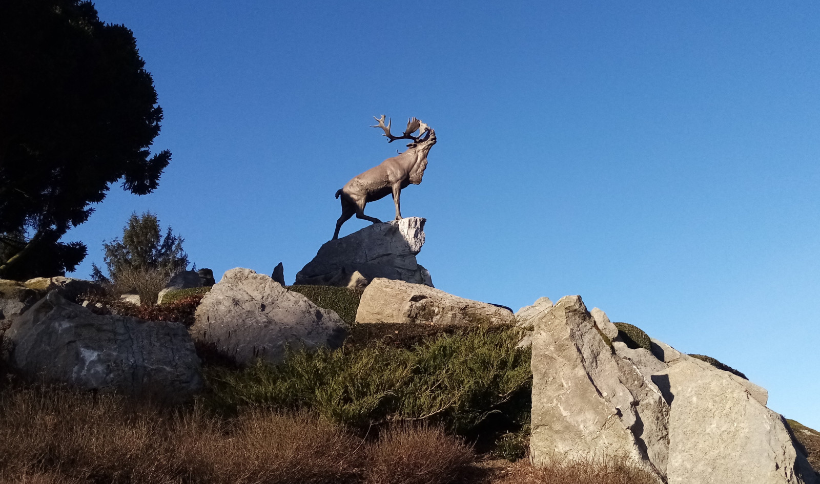 Rando célibataires — Le mémorial terre-neuvien de Beaumont-Hamel