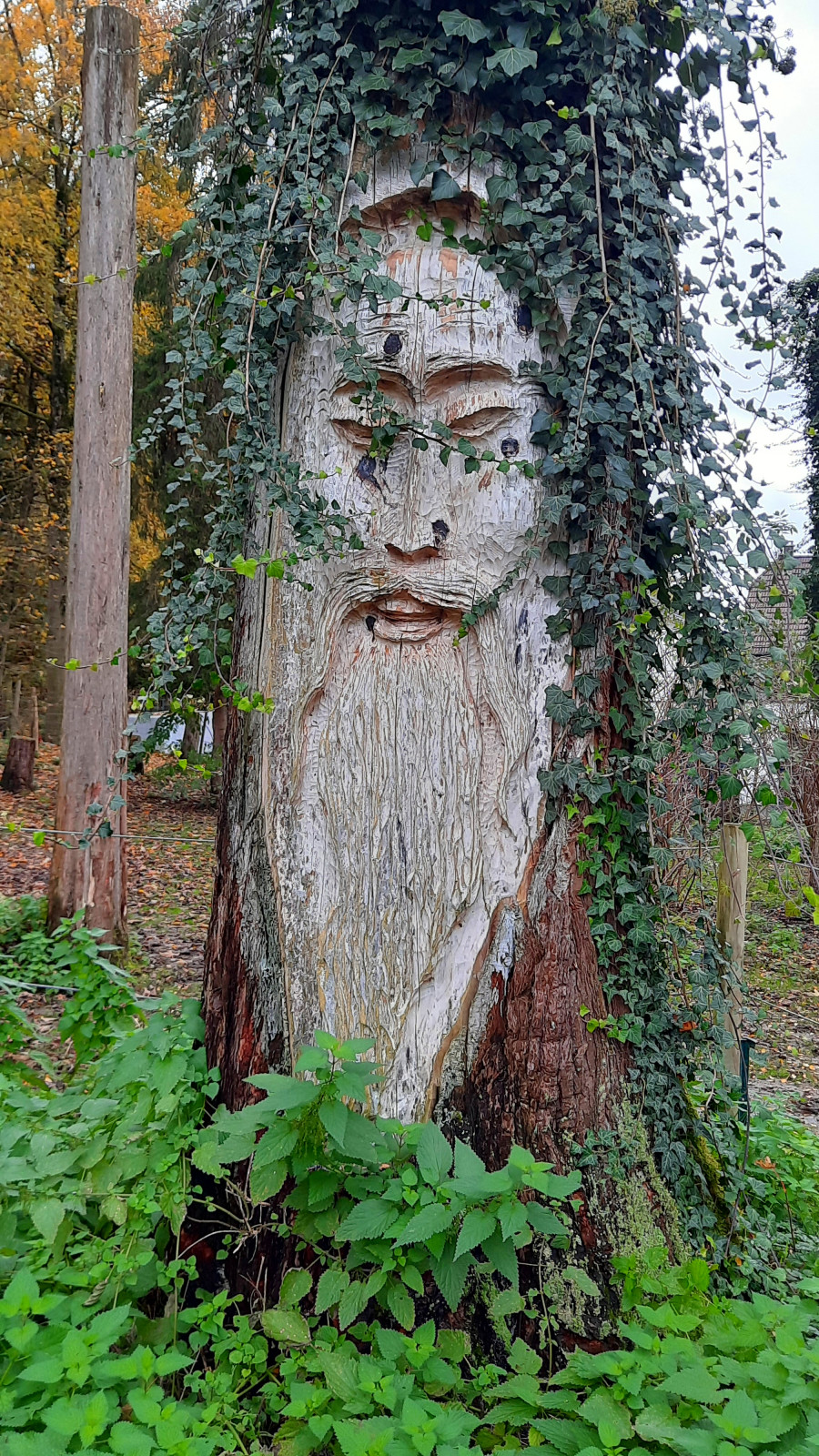 Le Liéchi