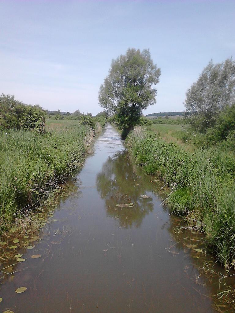 Petit Morin Alchetron, The Free Social Encyclopedia