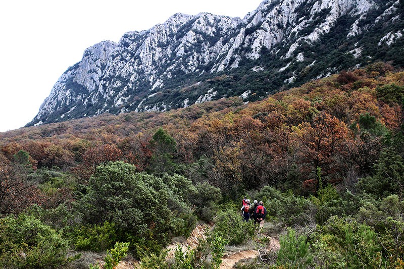 Pic Saint-Loup