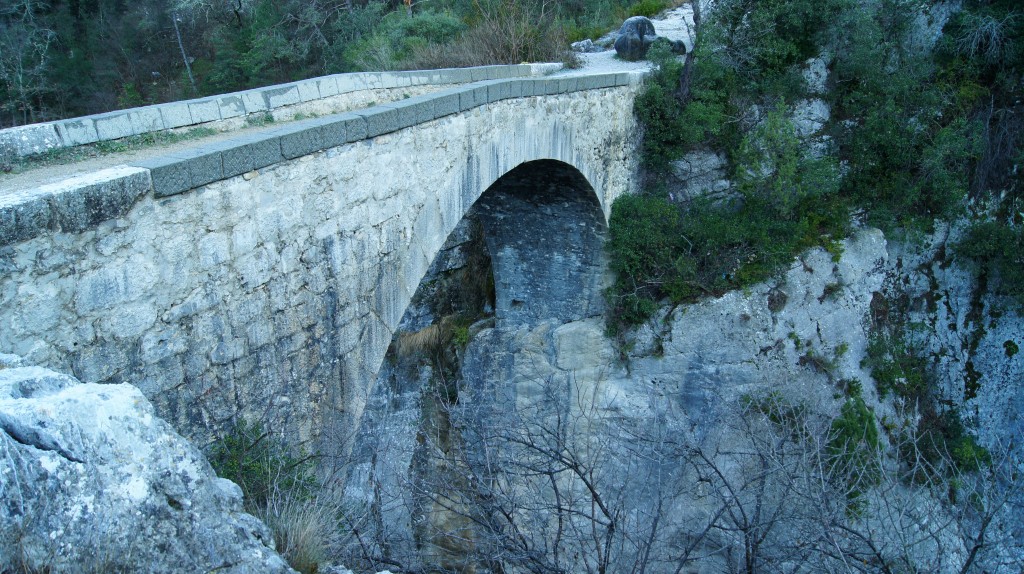 Pont De La Cerise Vallee De L'esteron