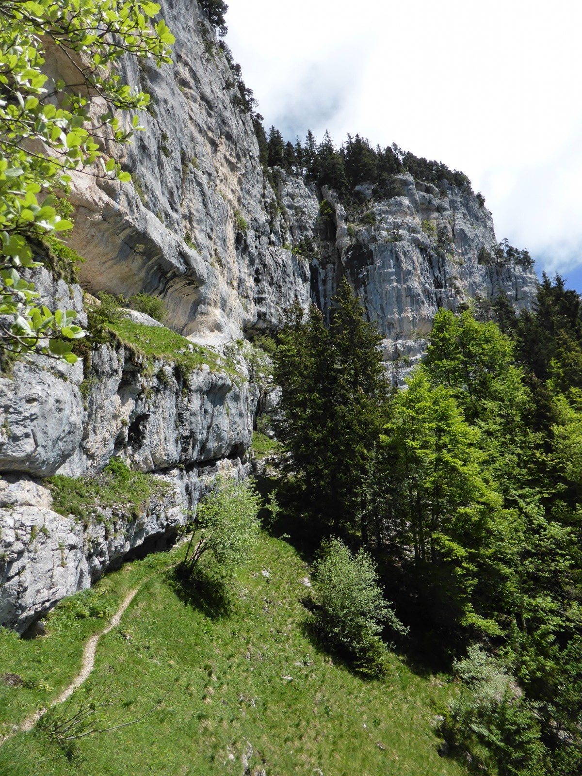 Les coupons du sentier