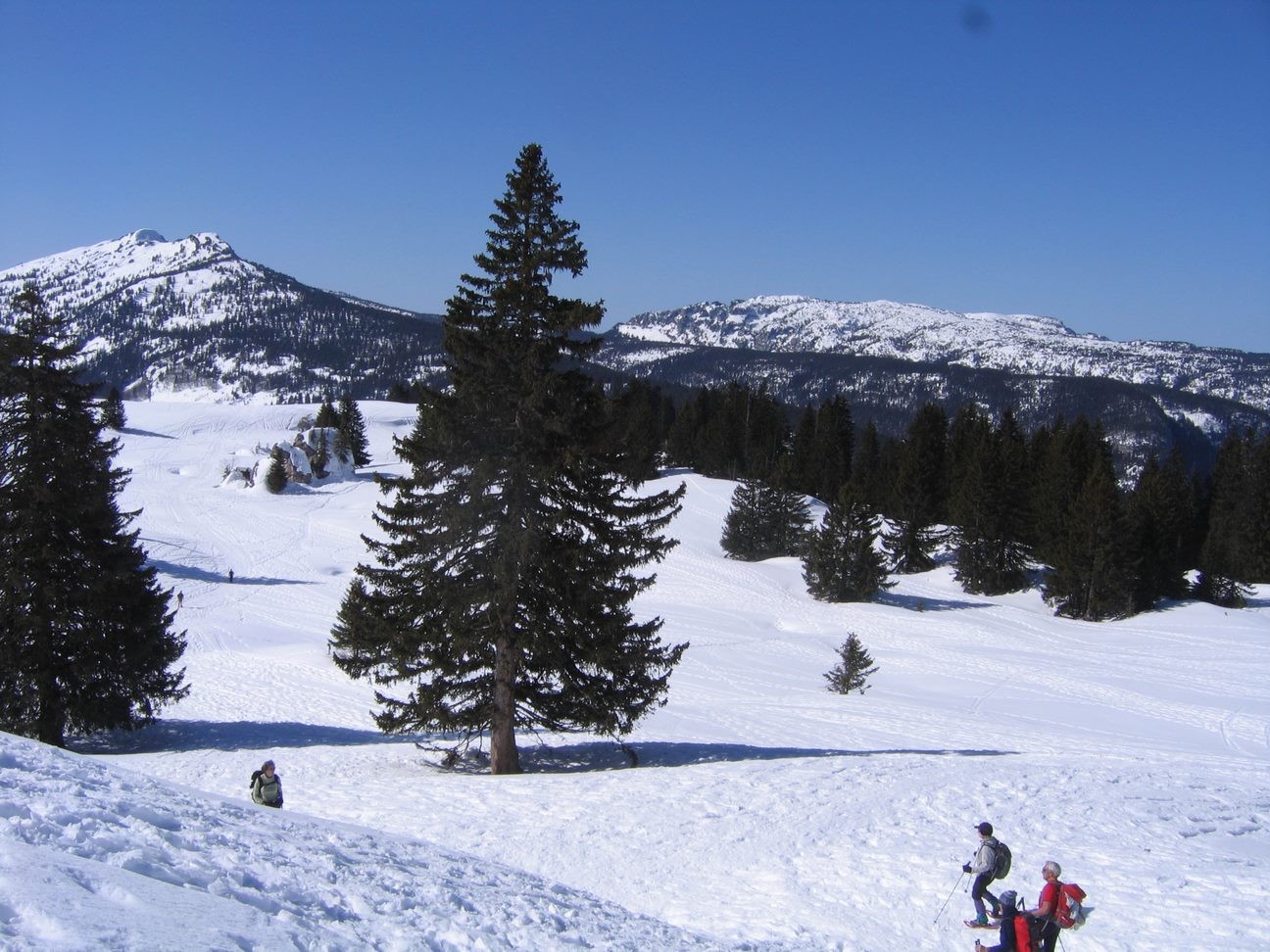 Photo : Plateau des Glières