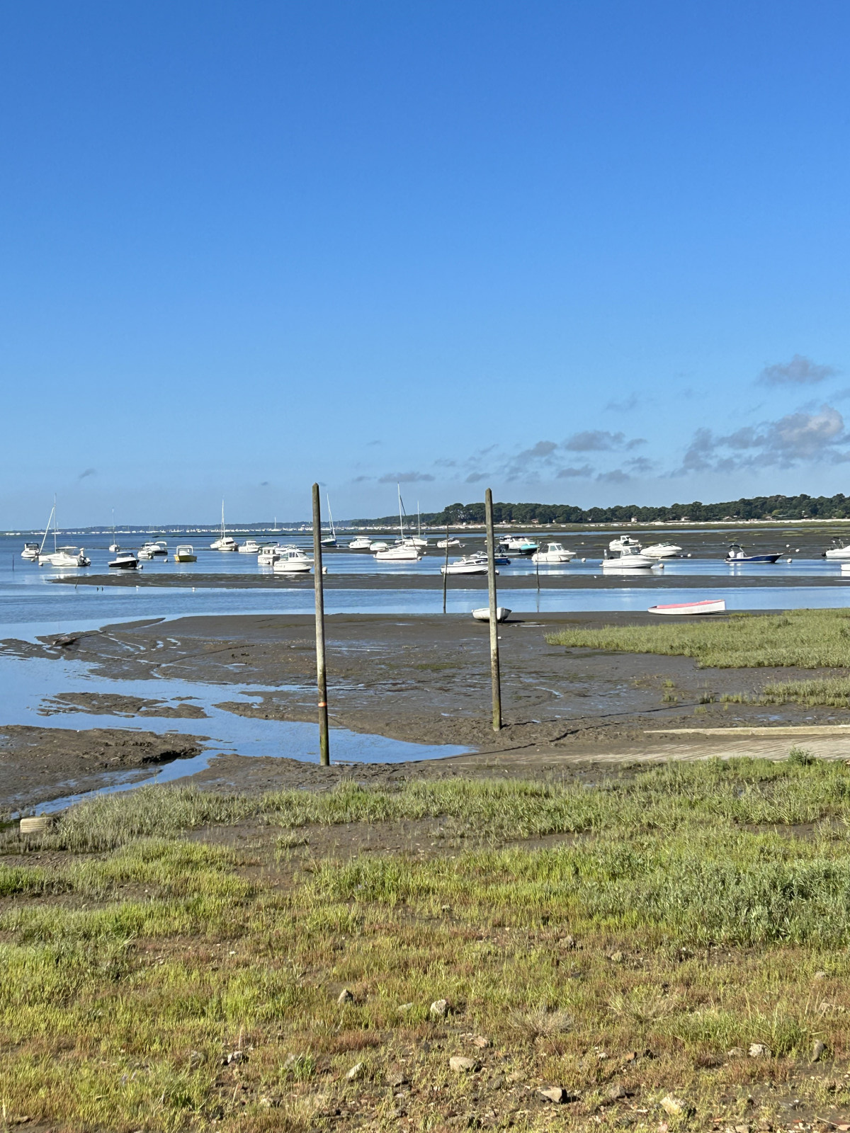 Rando célibataires — La Dame Océane et les prés salés depuis Arès