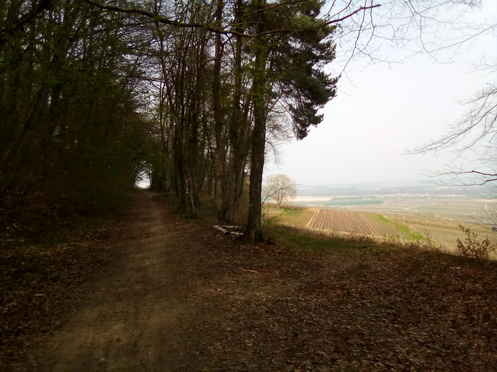 Rando célibataires — Sur le chemin de Compostelle par la corniche du CBR