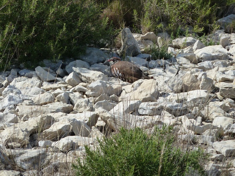 Randonnee Rencontre