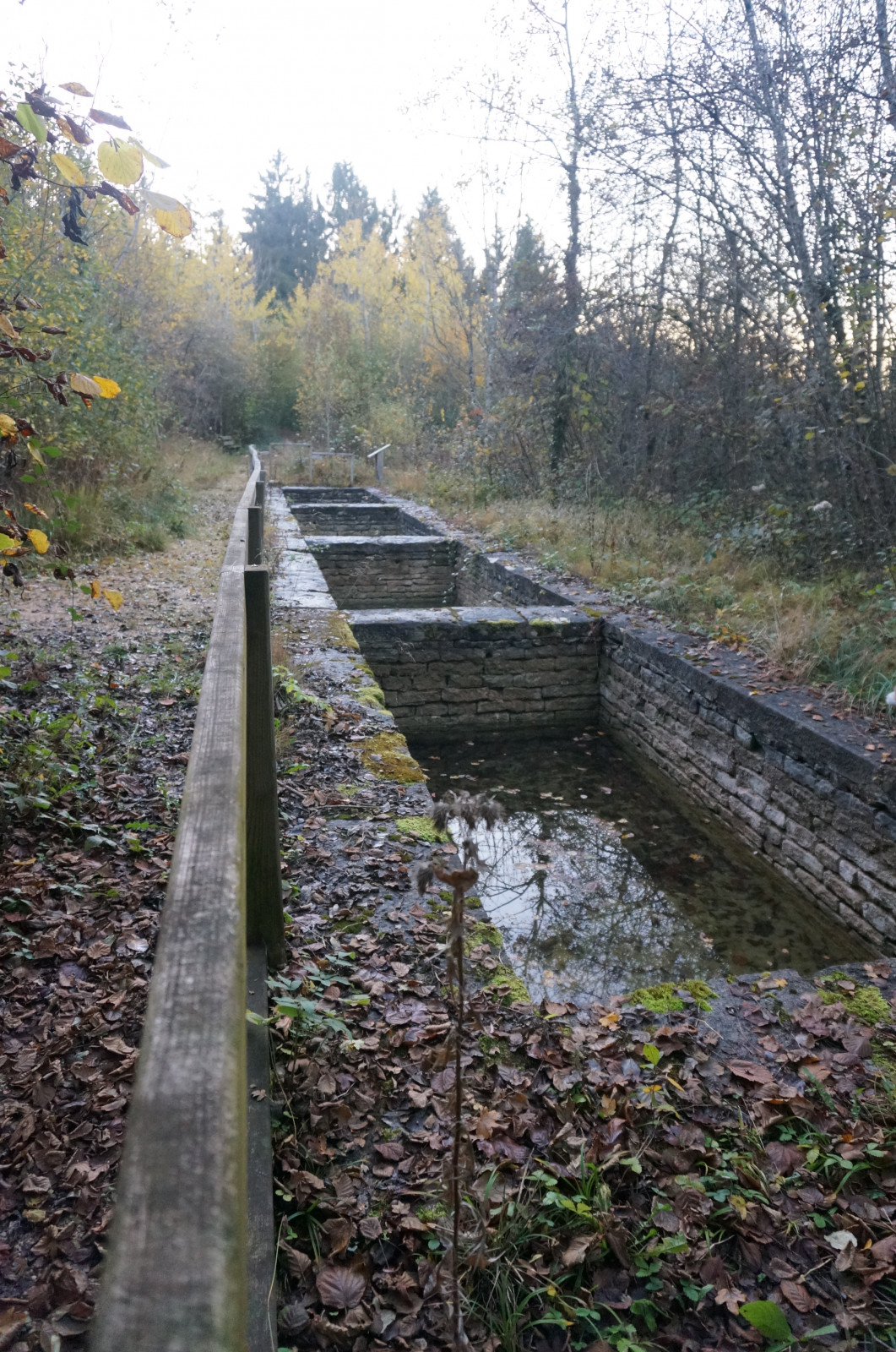 Rando célibataires — Sources et rouissoirs au départ de Poiseul-lès-Saulx
