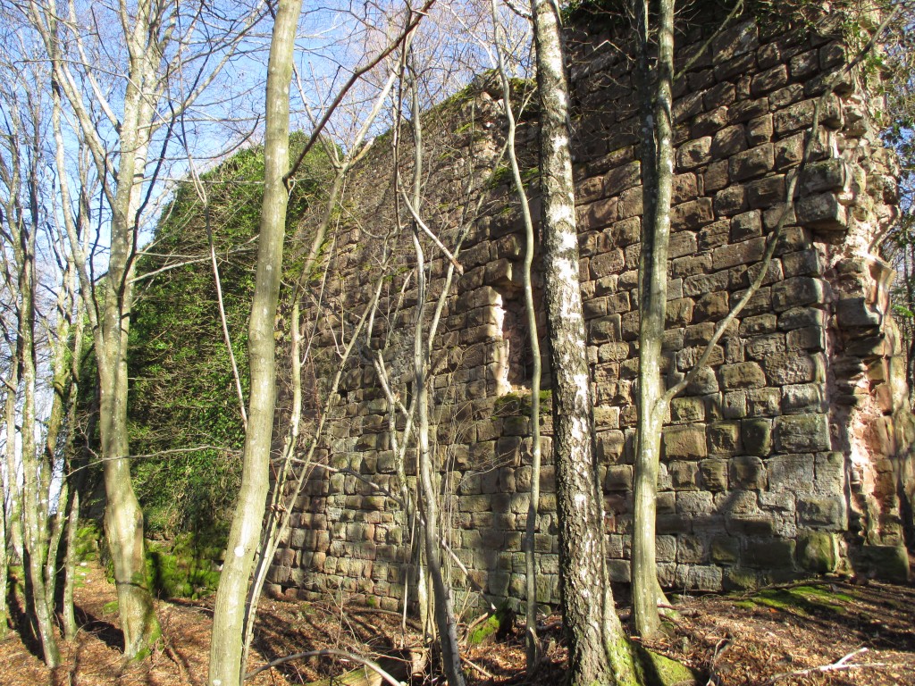 Photo Ruine du château de Turquestein