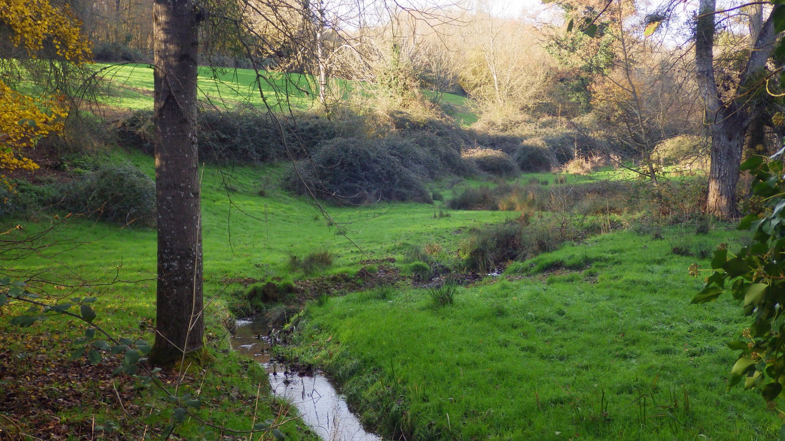 Photo Ruisseau de la Vergne