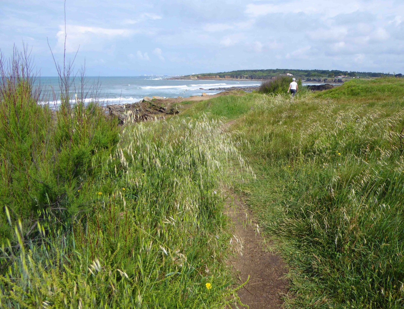 Photo : Sentier côtier