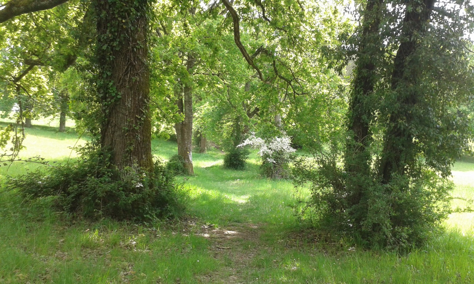 Rando célibataires — Chemin du Pité
