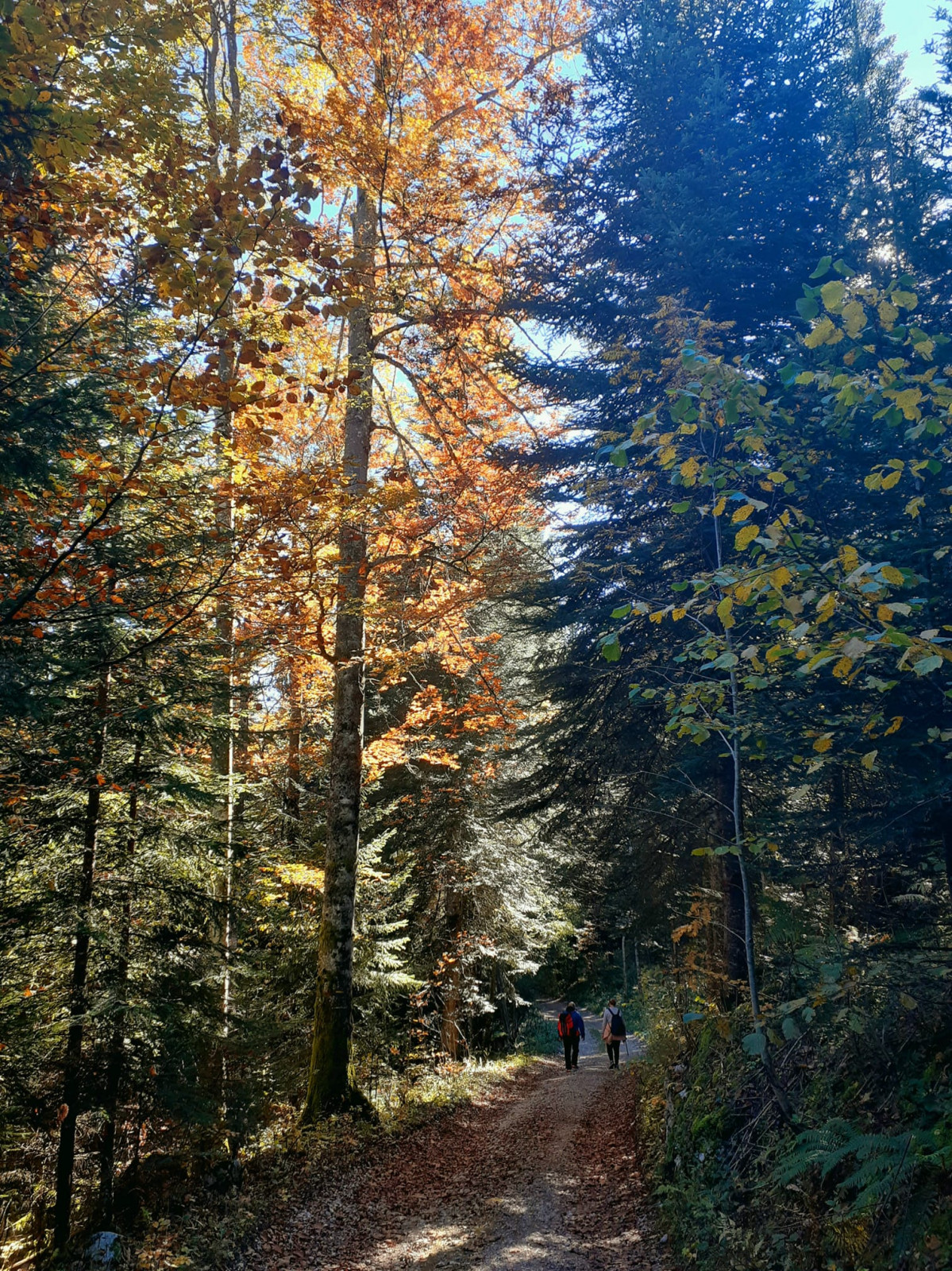 Rando célibataires — Boucle autour du Mont Vouillot