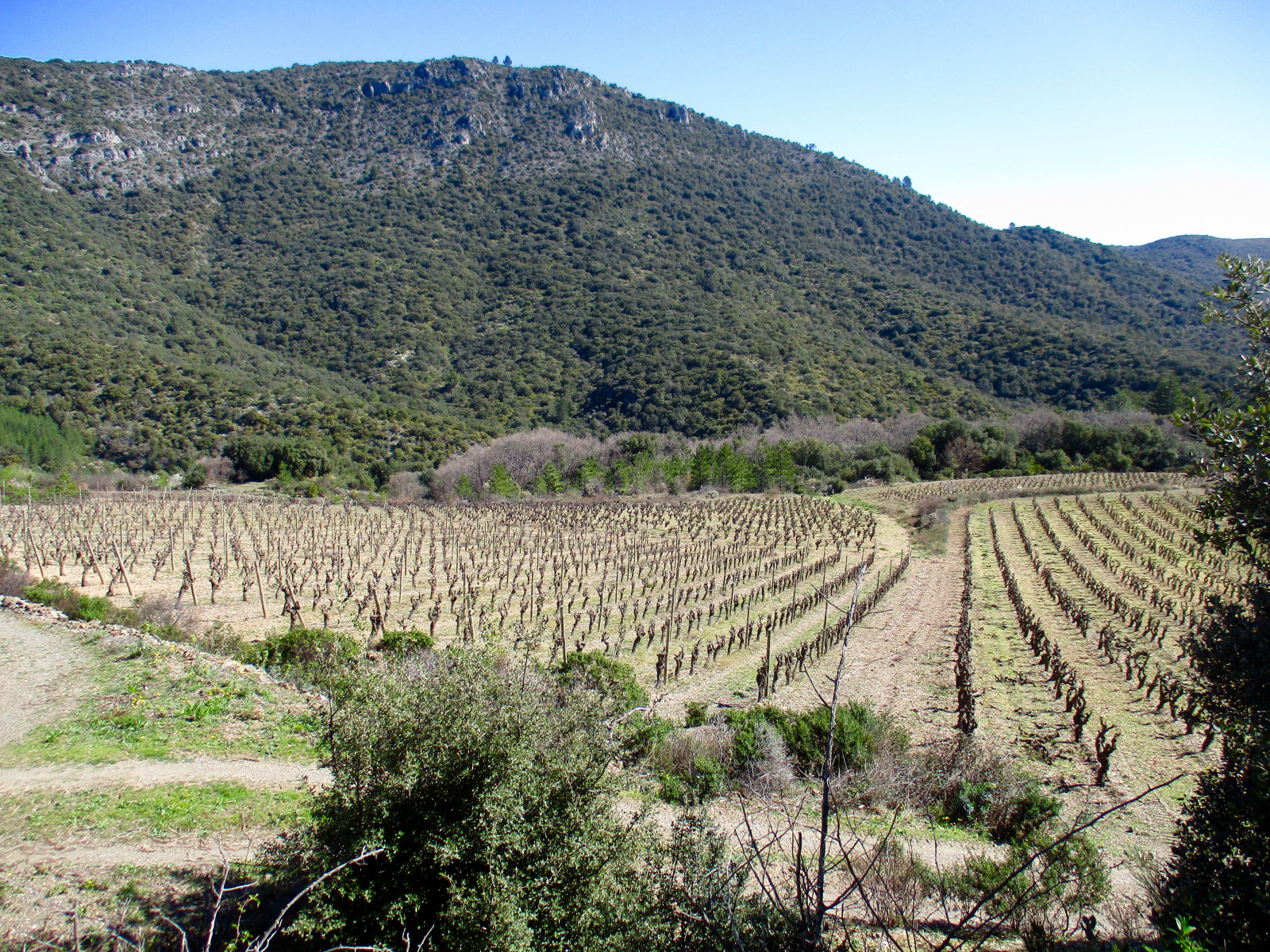 Rando célibataires — Ventajou