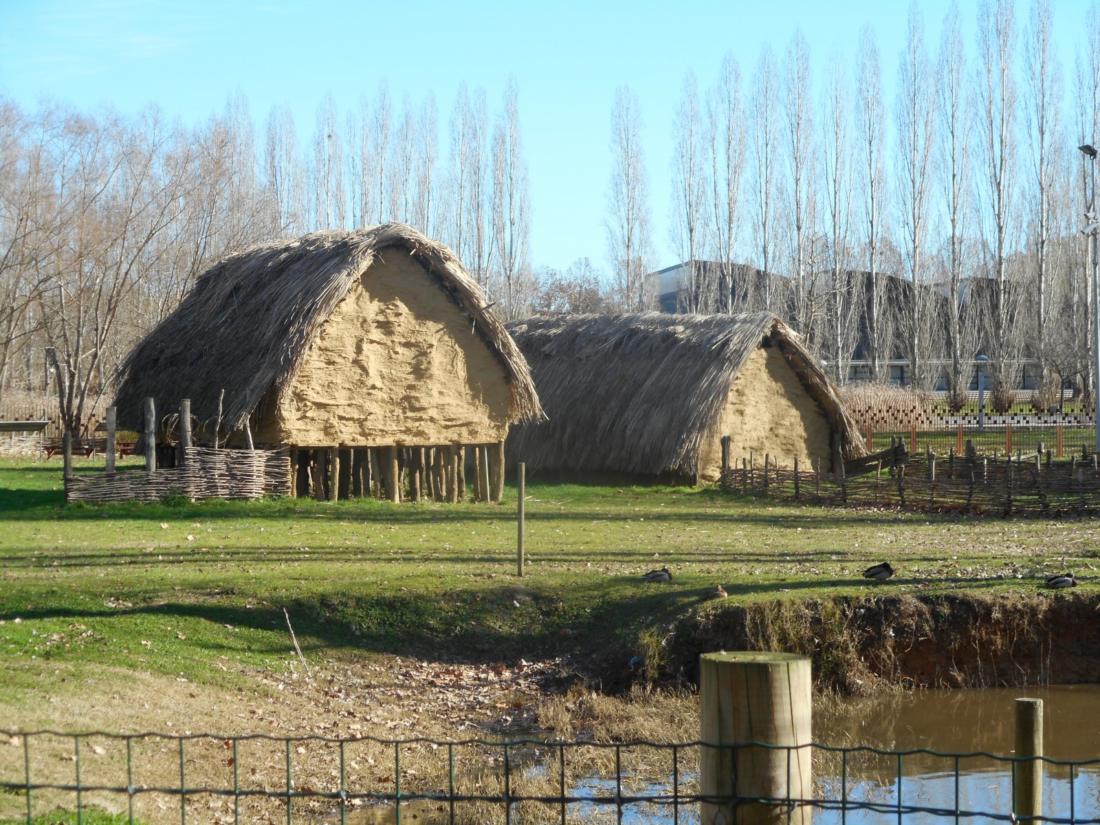 Neolithic Village