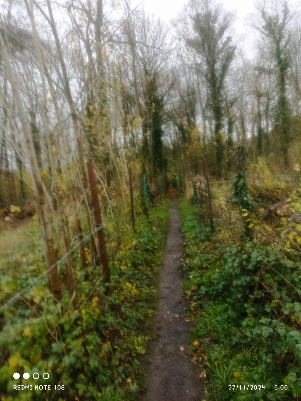 Rando célibataires — La véranda depuis Bouvigny-Boyeffles