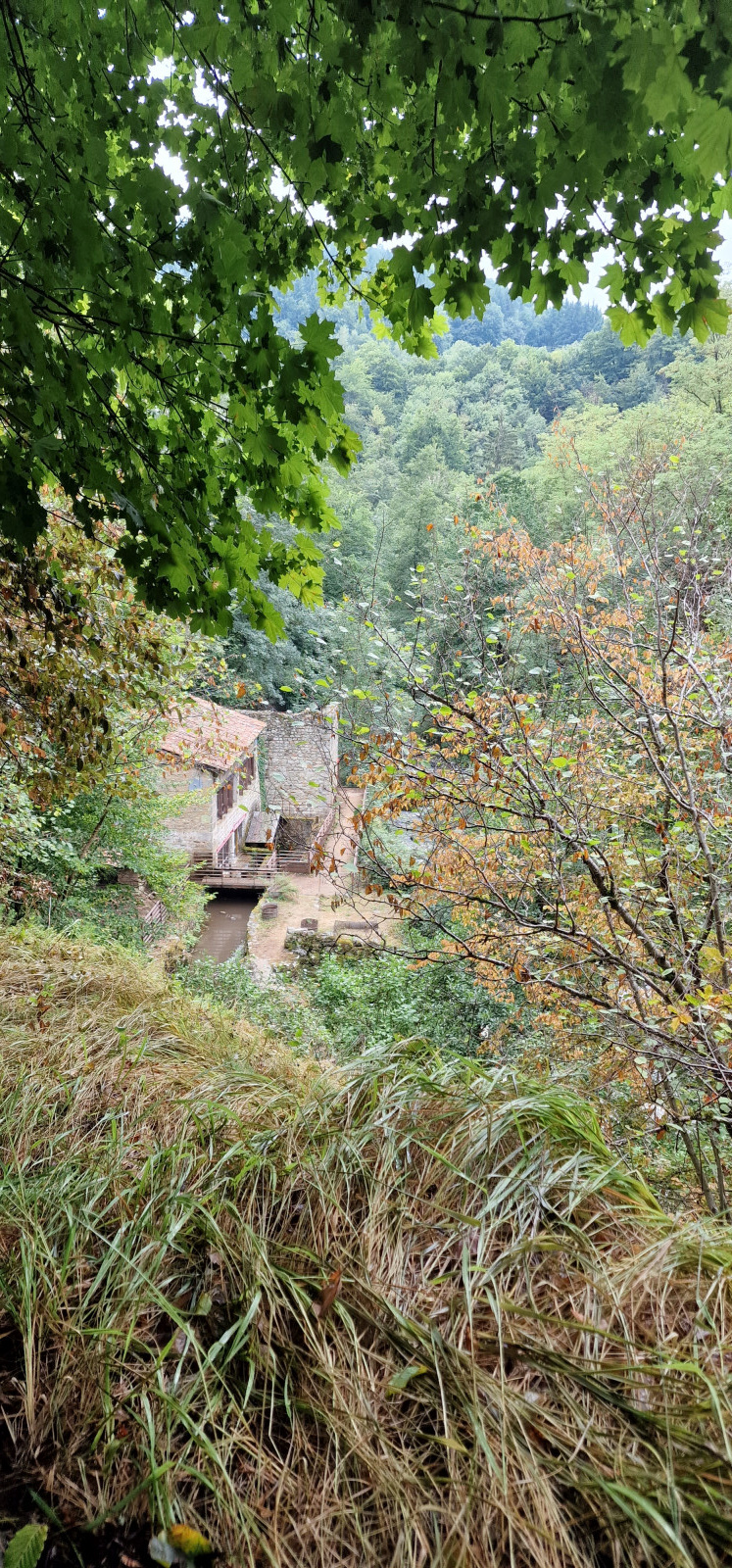 Rando célibataires — La Vallée des Rouets à Thiers