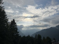 VakoA